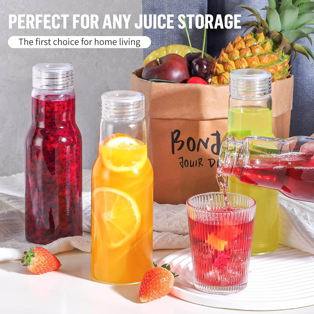 Bouteilles en verre de 17 oz a - Food Storage 30 Years avis et prix