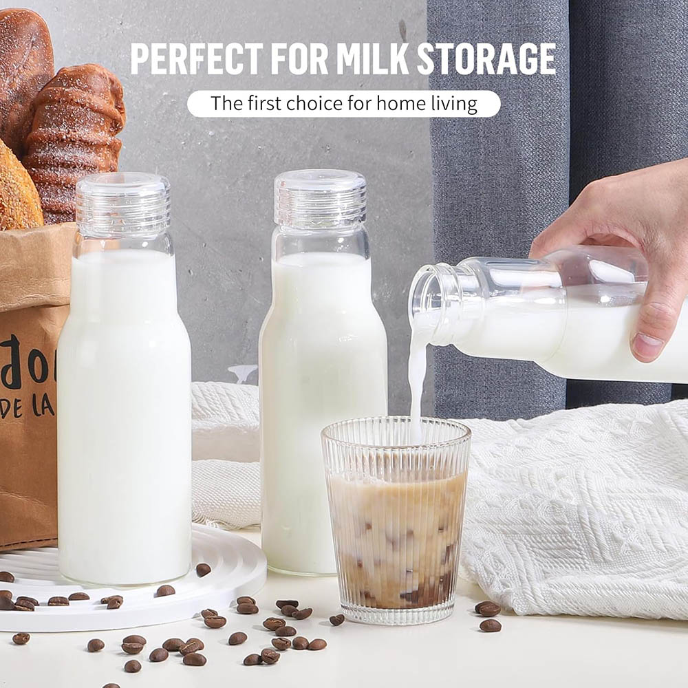 Bouteilles en verre de 17 oz a - Food Storage 30 Years avis et prix