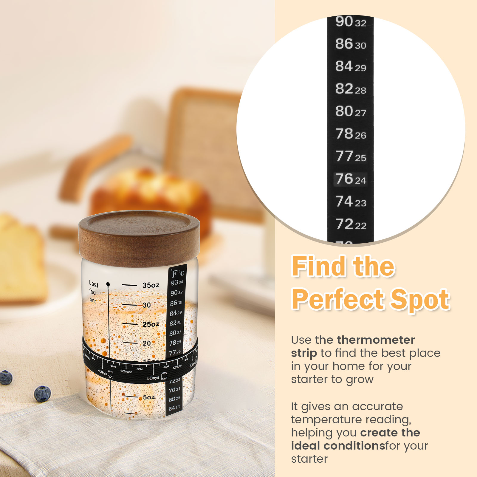 Kit de pot de démarrage au lev - Food Storage Glass Containers avis et prix