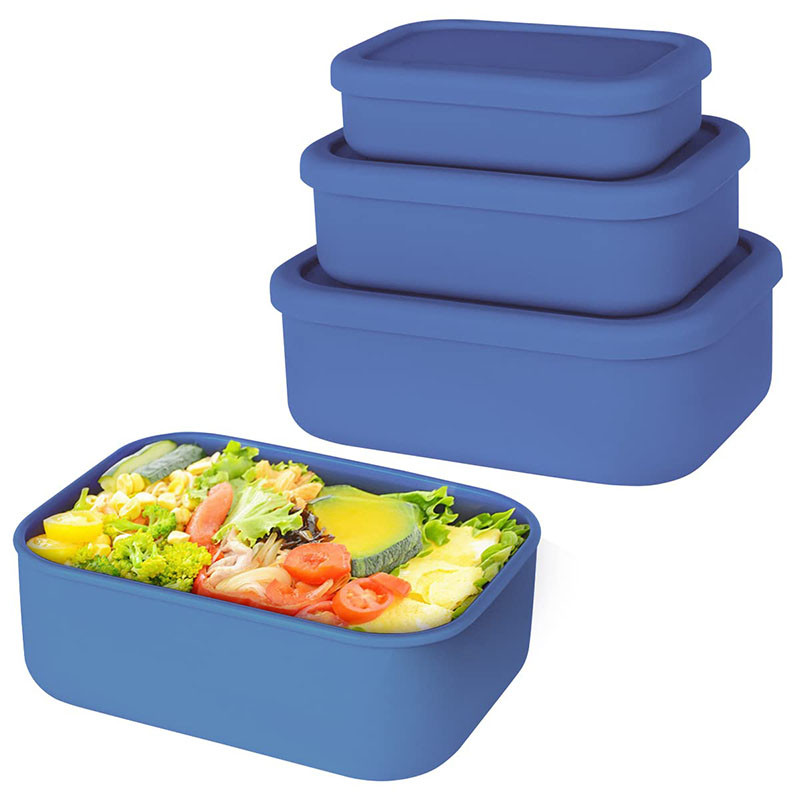 Boîte à lunch Bento étanche ré - Food Storage 30 Years avis et prix