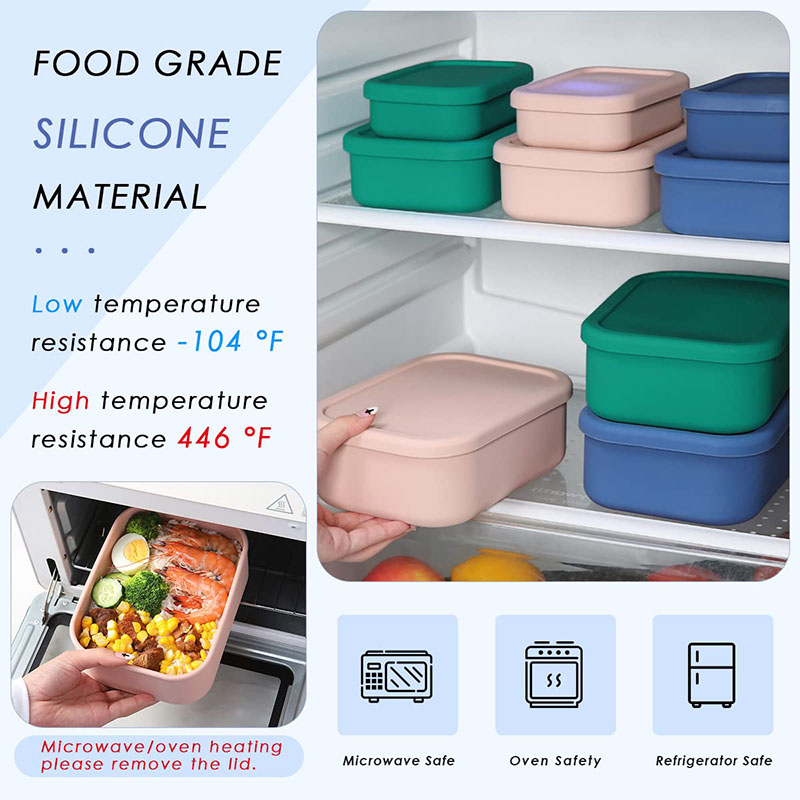 Boîte à lunch Bento étanche ré - Food Storage 30 Years avis et prix