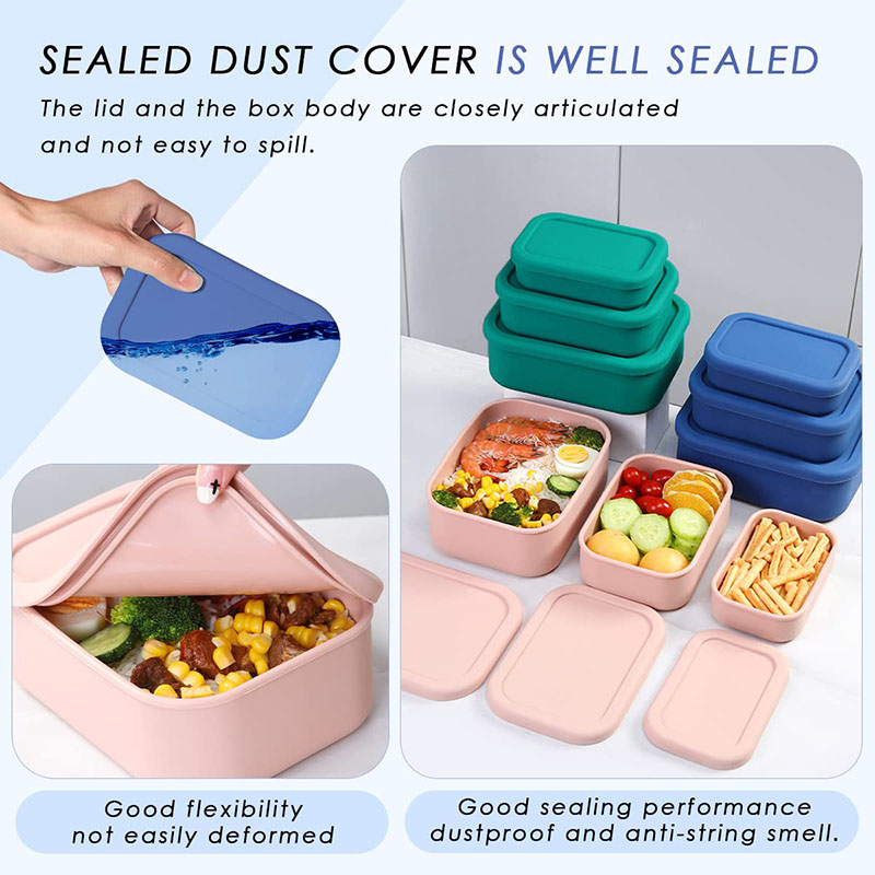 Boîte à lunch Bento étanche ré - Food Storage 30 Years avis et prix